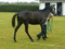 f:id:wao_o:20130629012004j:image:small:left