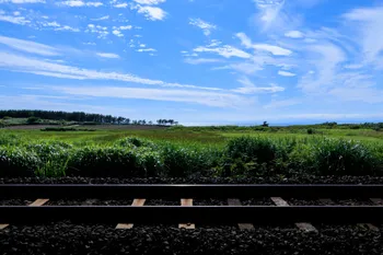 f:id:waon_k:20211126200148p:plain