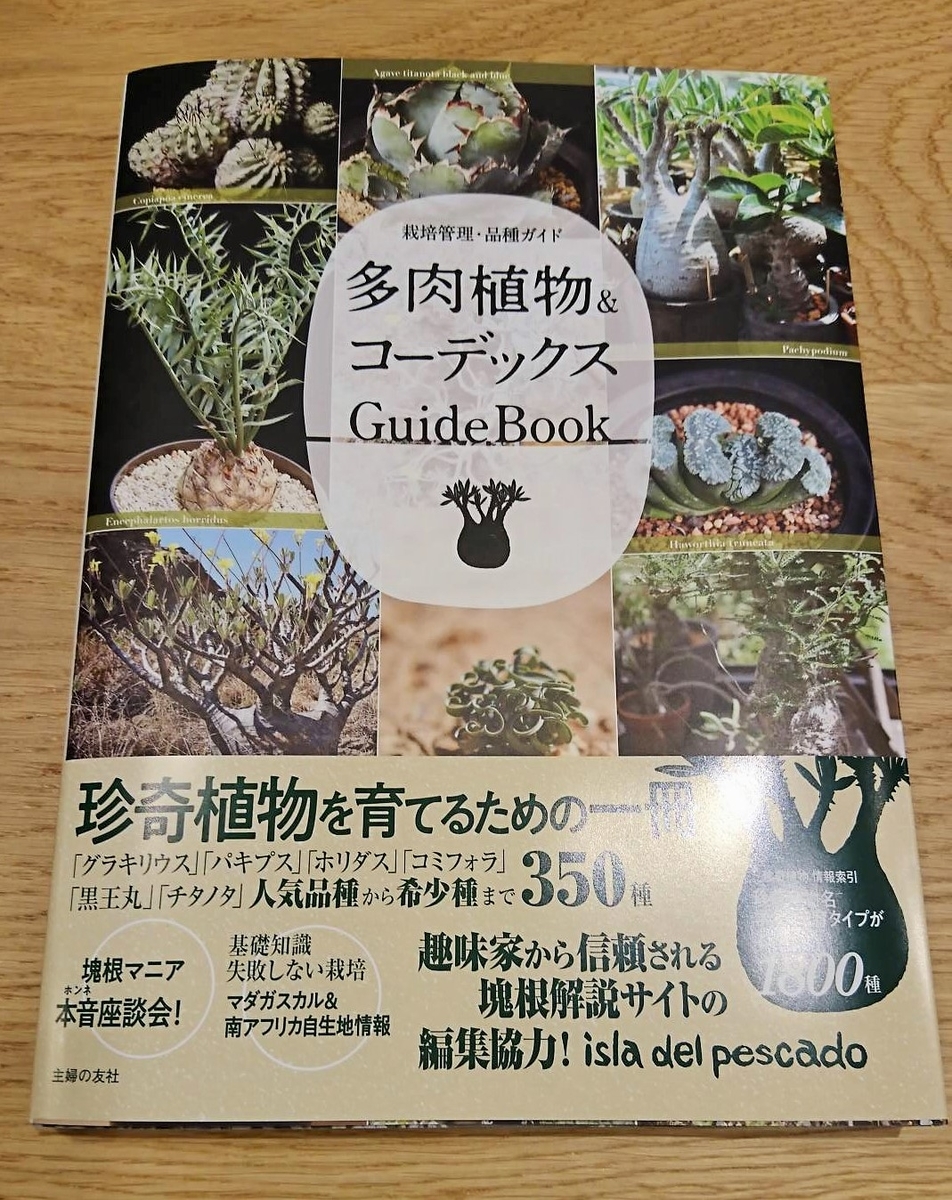 切実な 贅沢な 悩み 福井で小さな本屋はじめました