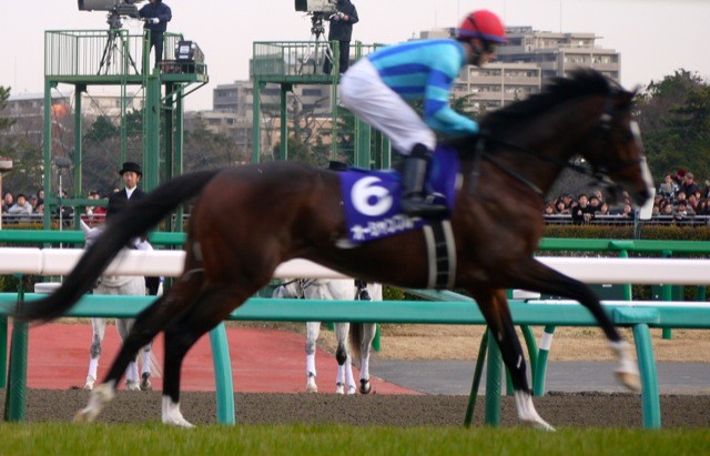 f:id:wapa:20121223150619j:image:h200