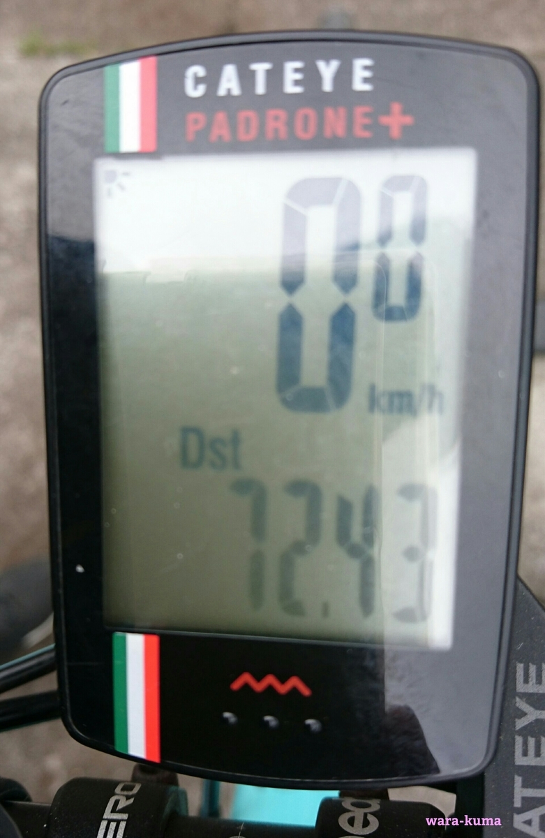 f:id:wara-kuma:20200316201945j:plain f:id:wara-kuma:20200316201945j:plain
