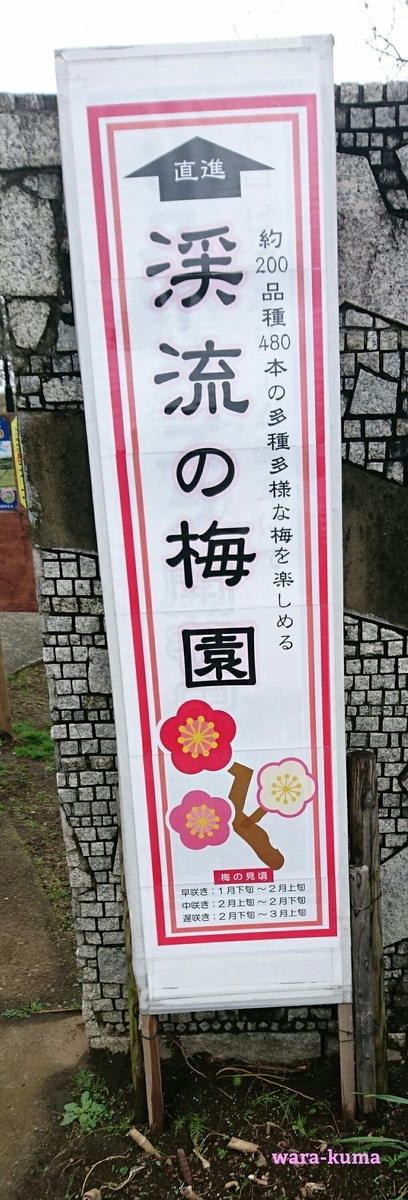f:id:wara-kuma:20200316202605j:plain f:id:wara-kuma:20200316202605j:plain