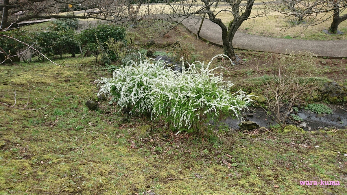 f:id:wara-kuma:20200316202930j:plain f:id:wara-kuma:20200316202930j:plain