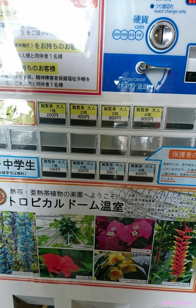 f:id:wara-kuma:20200316203326j:plain f:id:wara-kuma:20200316203326j:plain