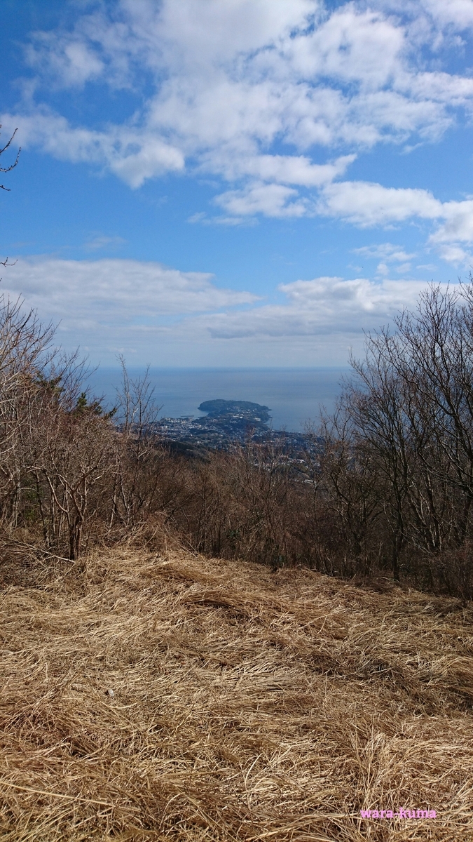 f:id:wara-kuma:20210215221119j:plain