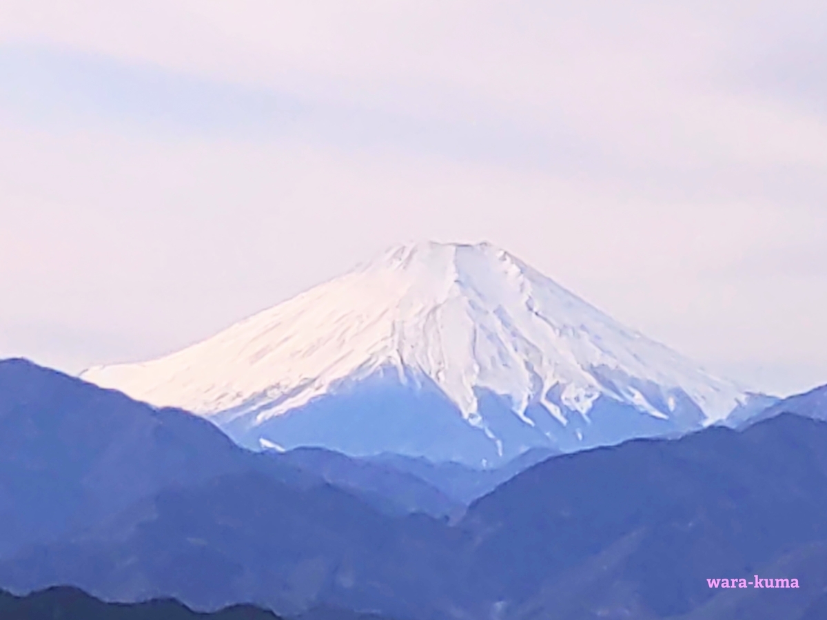 f:id:wara-kuma:20220207210541j:plain