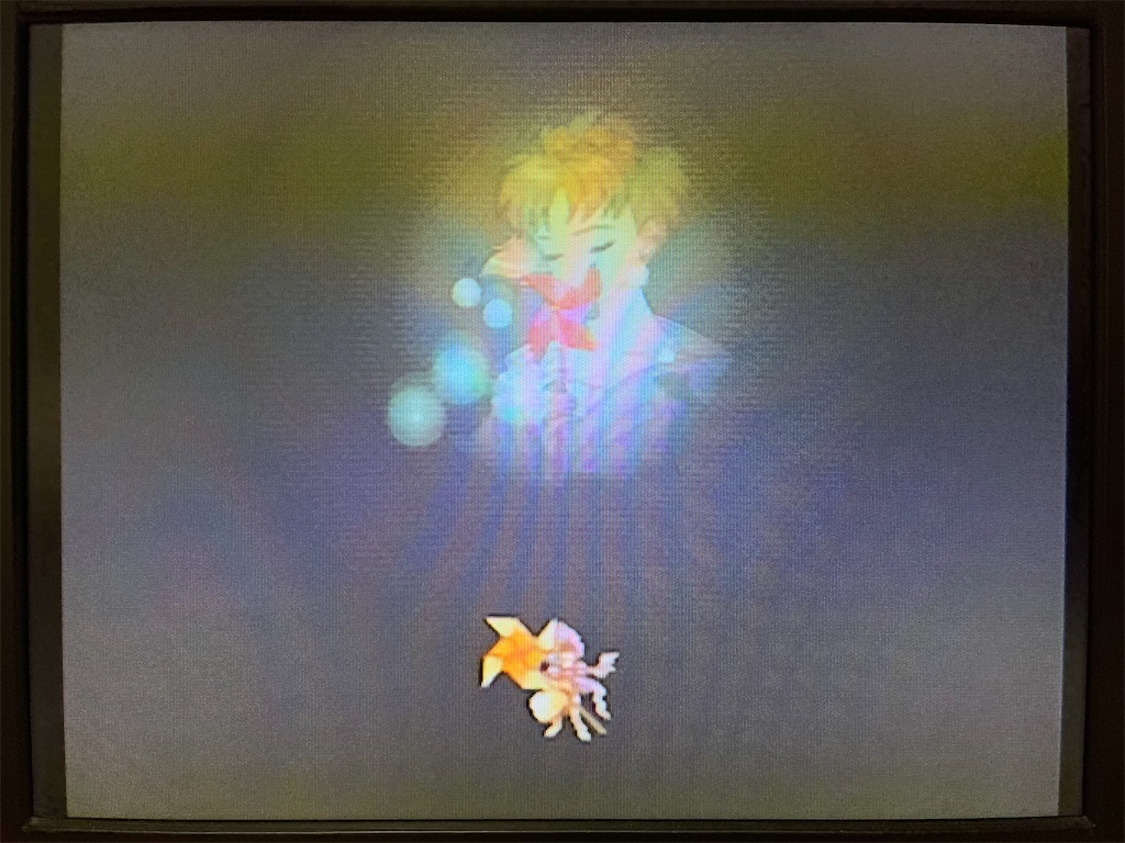 f:id:warabimaru:20231017181803j:image f:id:warabimaru:20231017181803j:image