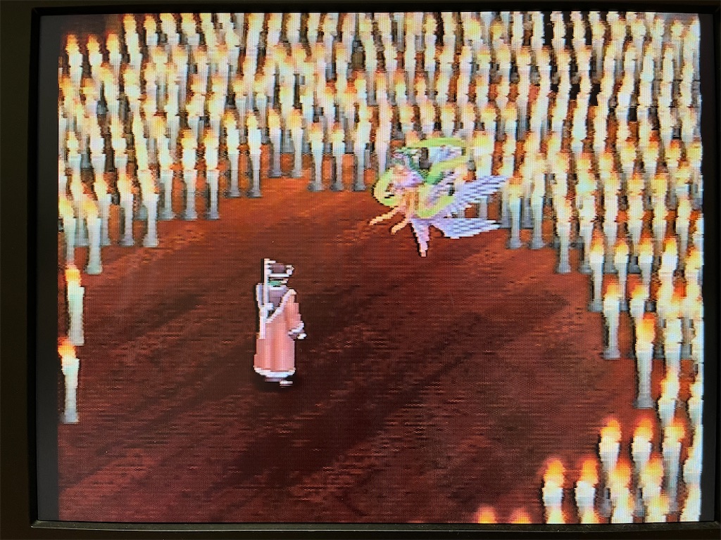 f:id:warabimaru:20231108181400j:image f:id:warabimaru:20231108181400j:image