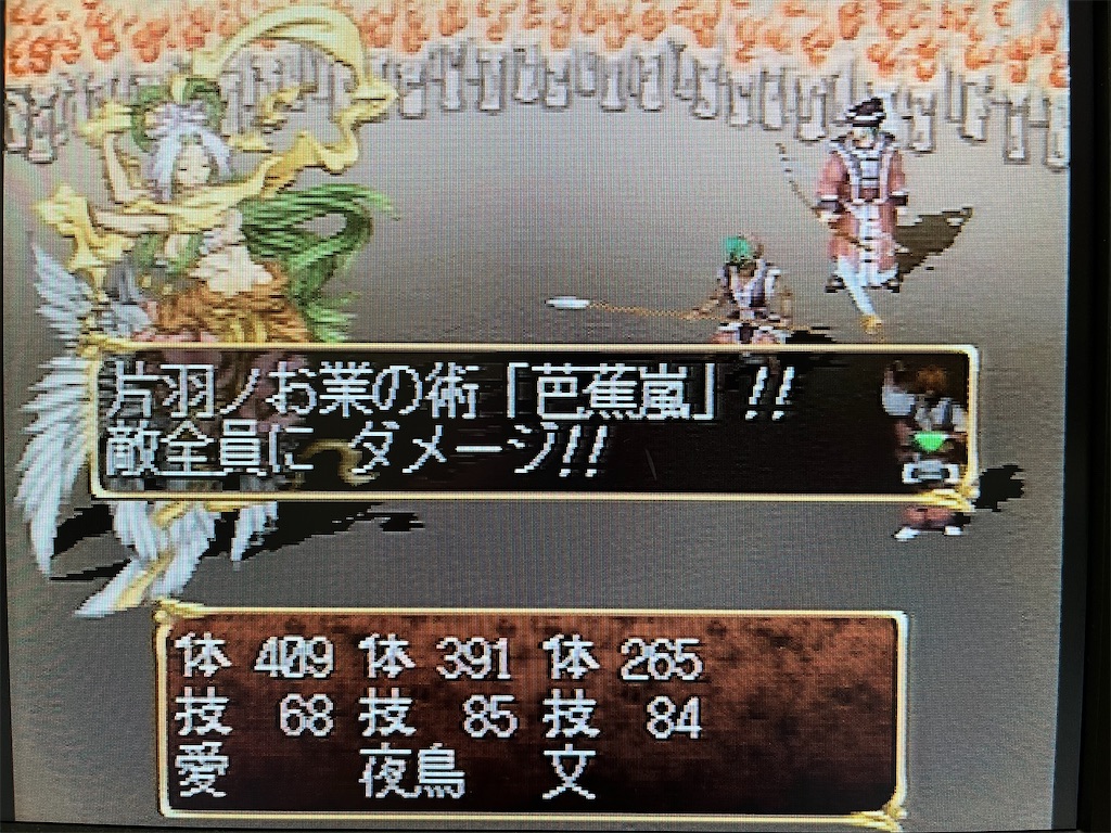 f:id:warabimaru:20231108181903j:image f:id:warabimaru:20231108181903j:image