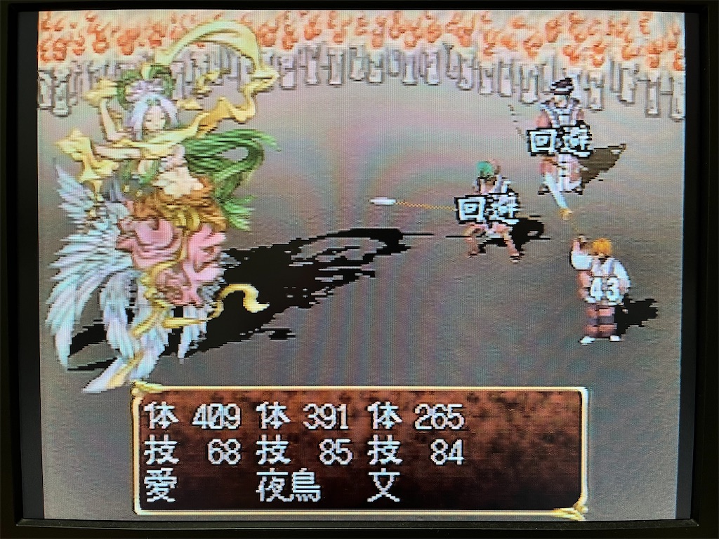 f:id:warabimaru:20231108181916j:image f:id:warabimaru:20231108181916j:image