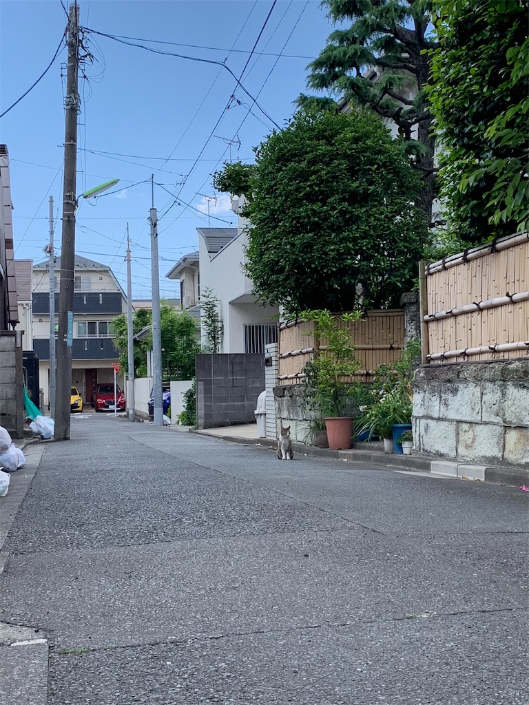 f:id:warabitan:20190905214854j:image