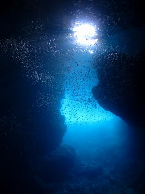 f:id:warahinokuni:20201102022343j:image f:id:warahinokuni:20201102022343j:image