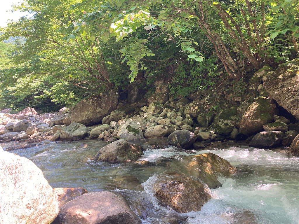 f:id:warajirun:20250621222445j:image
