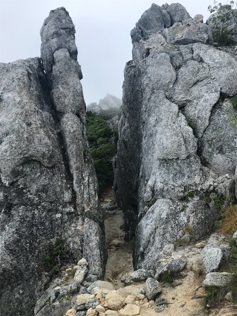 f:id:warakeru:20200831092752j:image