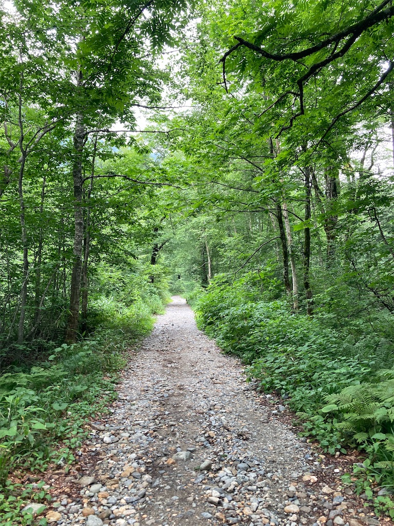 f:id:warakeru:20210808164710j:image