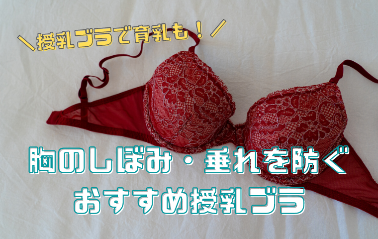 授乳ブラのおすすめ6選 かわいいのに育乳 ナイトブラにもなる優秀ブラジャー 人生模索中主婦のおしゃべり帳 ママと妻 時々嫁の殴り書きブログ