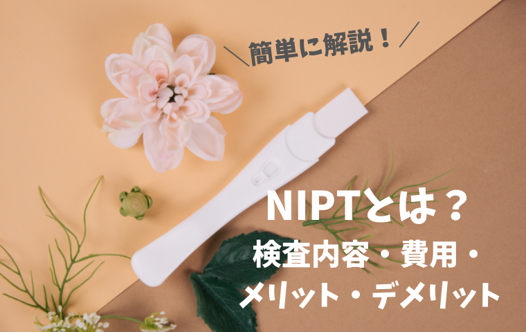 【NIPTとは？】簡単に解説！新型出生前診断の検査内容や費用は？