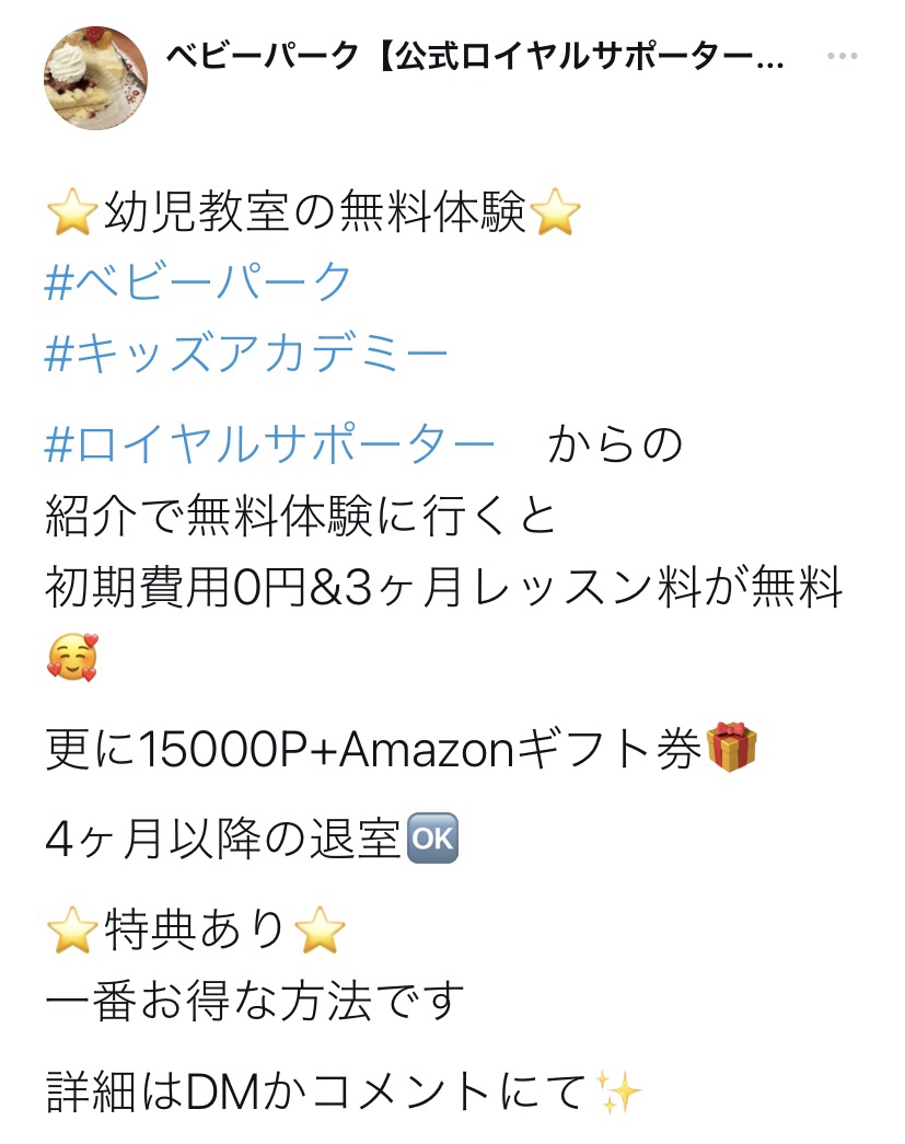 【ベビーパークのロイヤルサポーター制度】どれだけお得になる？注意点・危険性も？