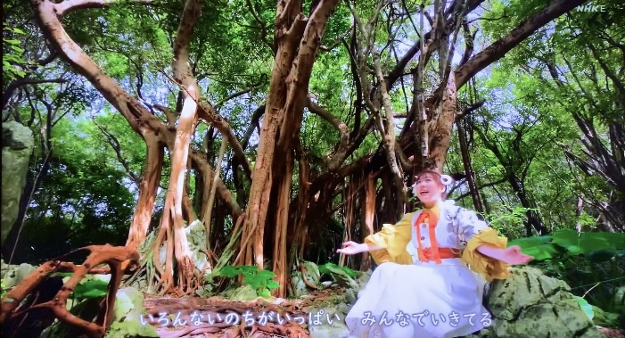 「きっとキセキ」おかあさんといっしょ｜歌詞・クリップ映像まとめ！撮影場所はどこ？