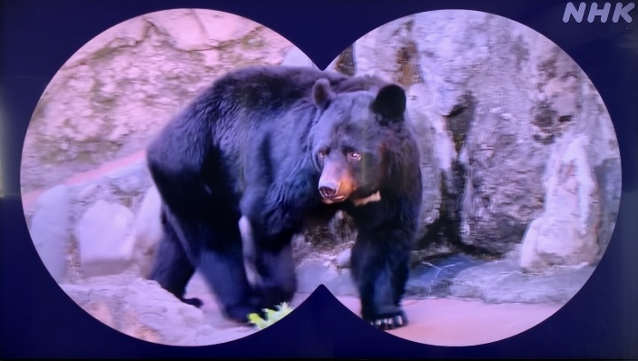 おかあさんといっしょ「おえかきクレッピー」が外ロケで動物園へ！放送内容・撮影場所は？
