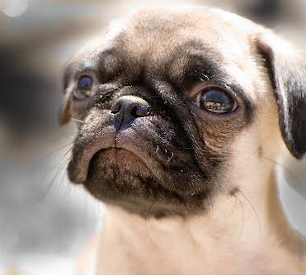 f:id:warau8:20190130093848j:image