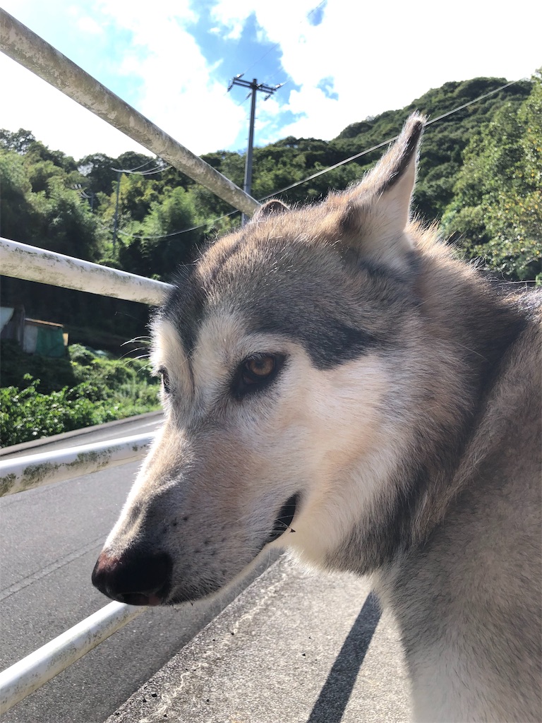 f:id:warawara-house:20191030233154j:image