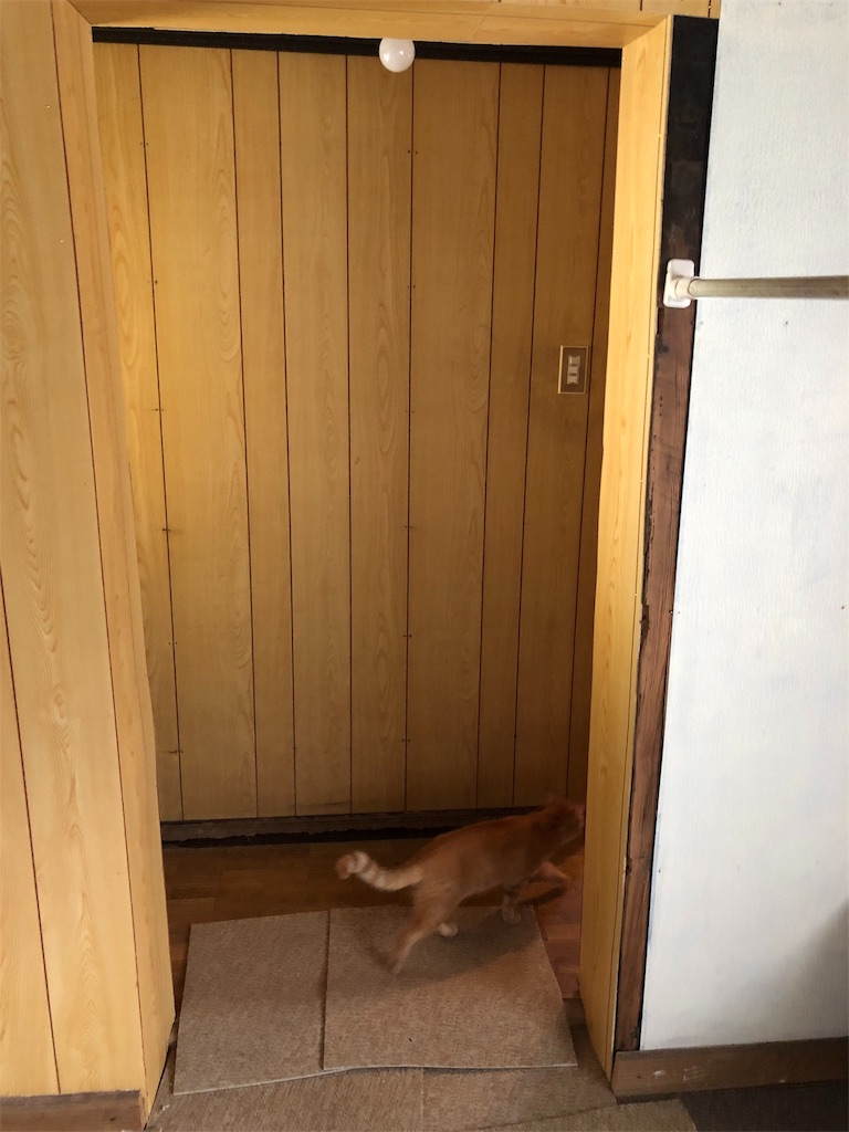 f:id:warawara-house:20191117111059j:image