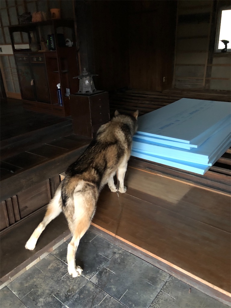 f:id:warawara-house:20200311122609j:image