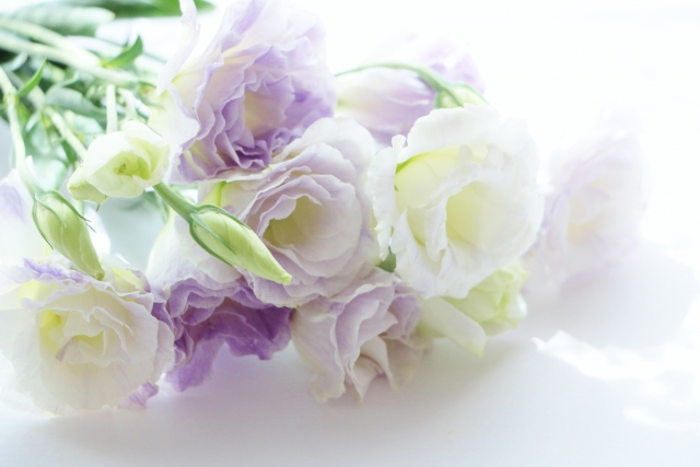 f:id:warawork-waralife:20190106170042j:plain f:id:warawork-waralife:20190106170042j:plain