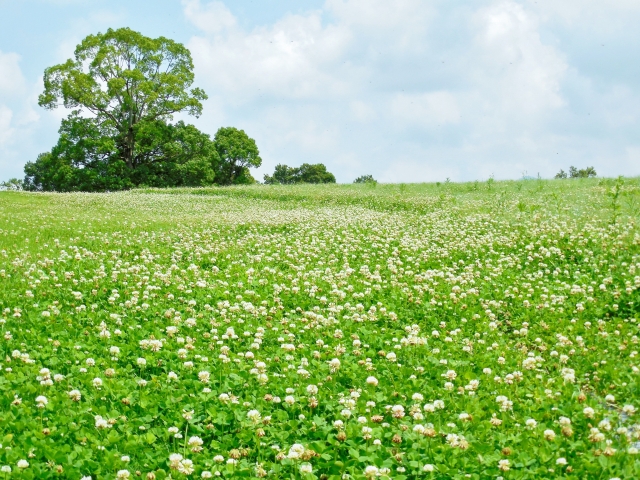 f:id:warawork-waralife:20190722220252j:plain f:id:warawork-waralife:20190722220252j:plain
