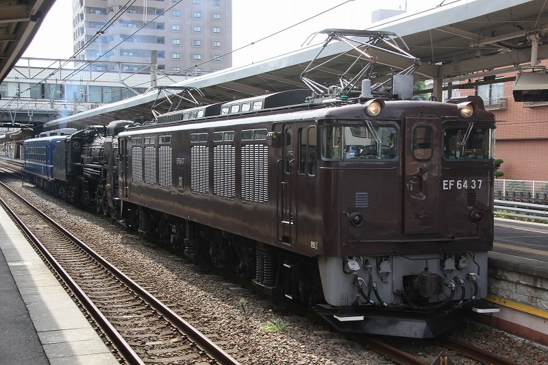 イメージ 6