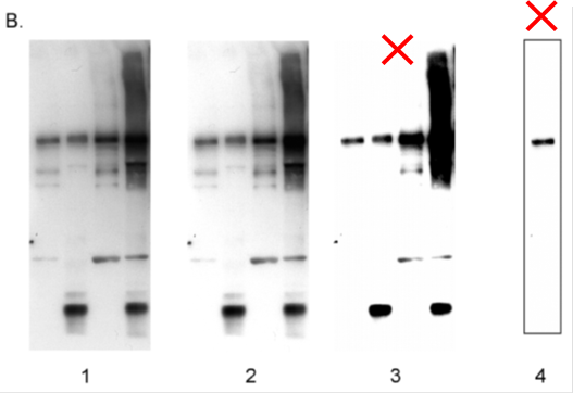 f:id:warbler:20140920092112p:image f:id:warbler:20140920092112p:image