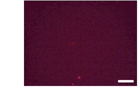 f:id:warbler:20150115014227p:image f:id:warbler:20150115014227p:image