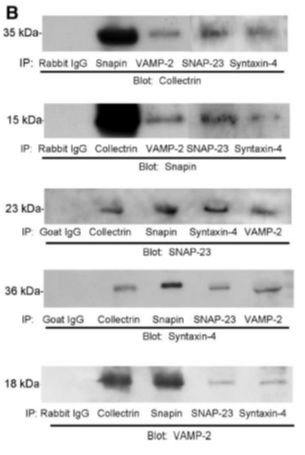 f:id:warbler:20160416084807p:plain