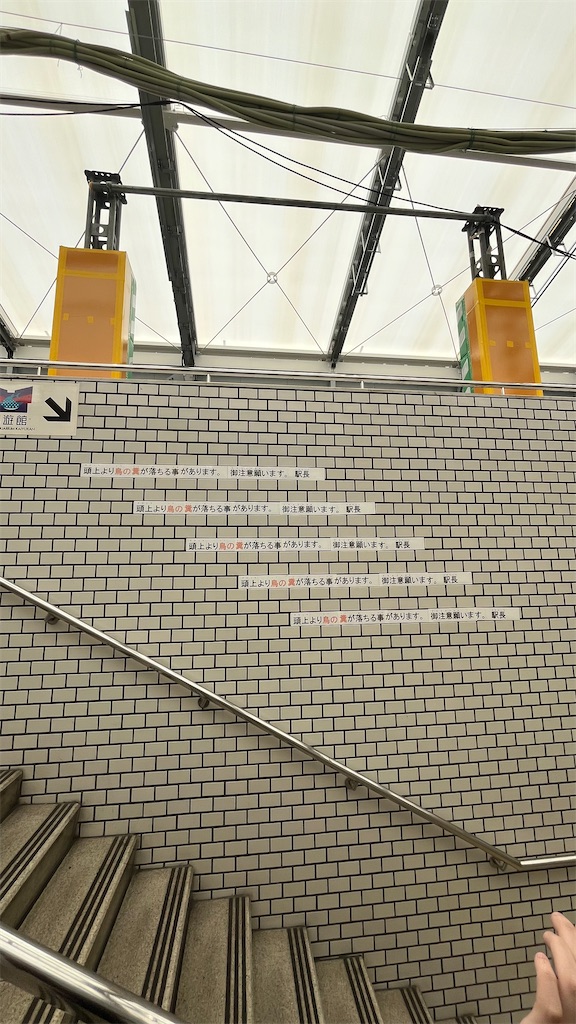 f:id:warekun:20240621190118j:image