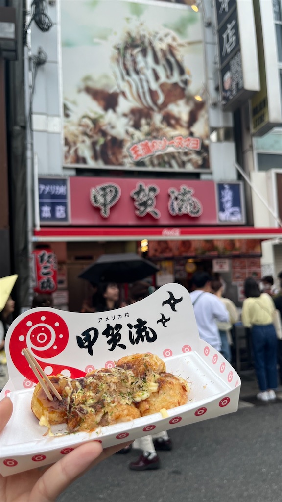 f:id:warekun:20240621190412j:image