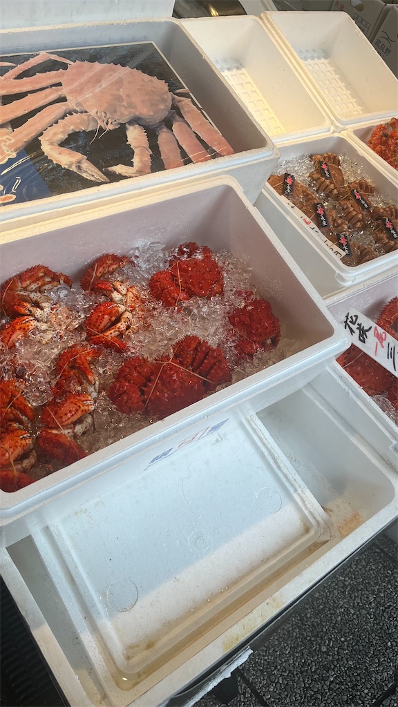 f:id:warekun:20240831123226j:image