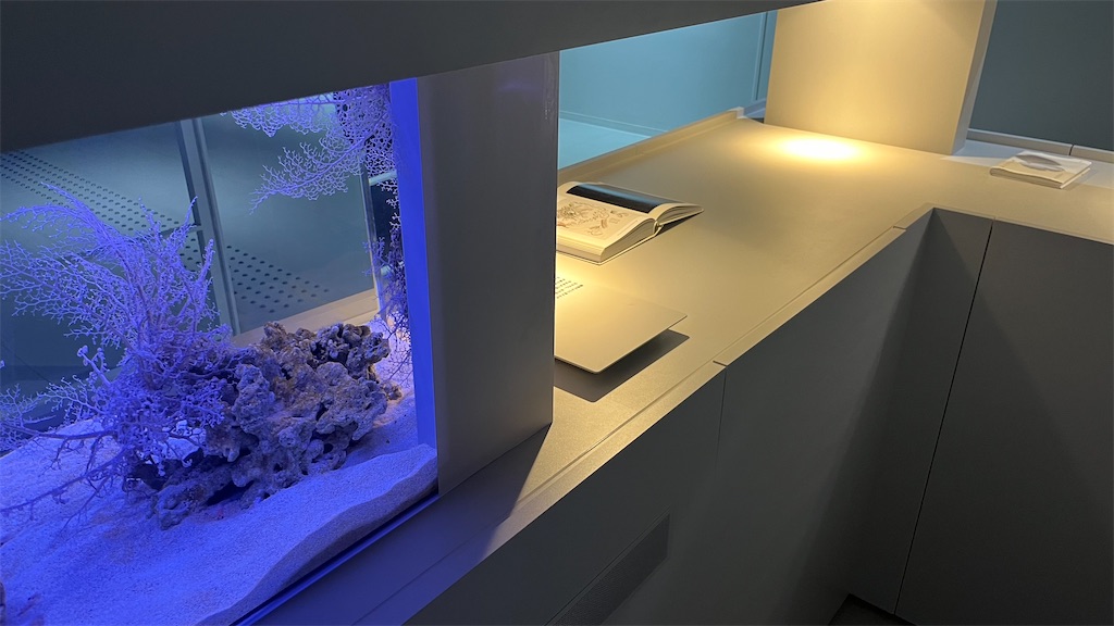 f:id:warekun:20240831123345j:image