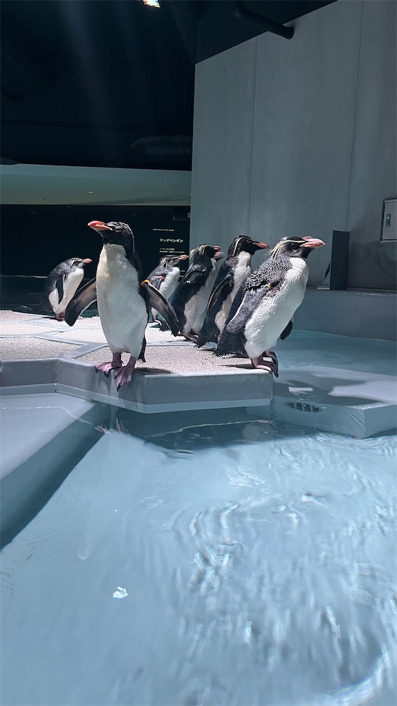 f:id:warekun:20240831123348j:image