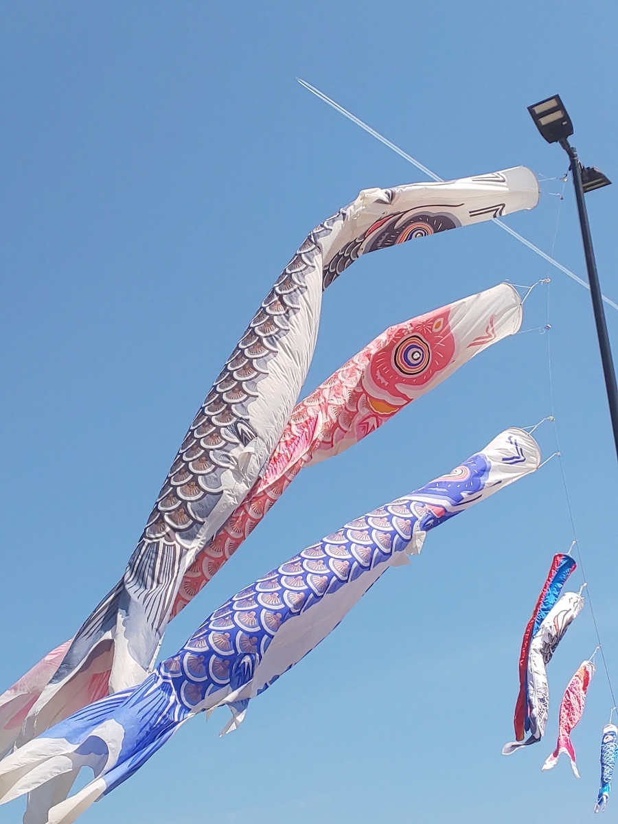 f:id:waremokou--eiji:20210505083610j:plain