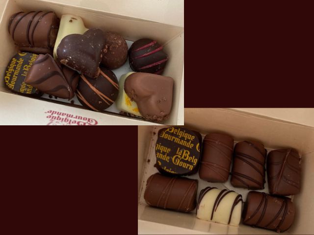 プラリネ・モーニングミスト4入 10箱ロット ベルギーのチョコ