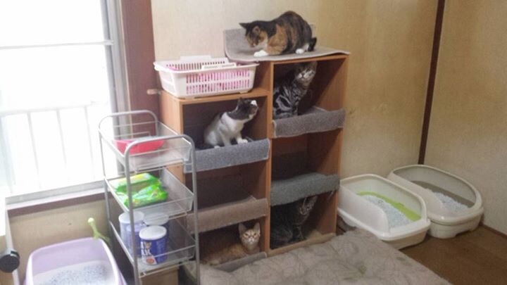 f:id:warorince:20151116165501j:image f:id:warorince:20151116165501j:image