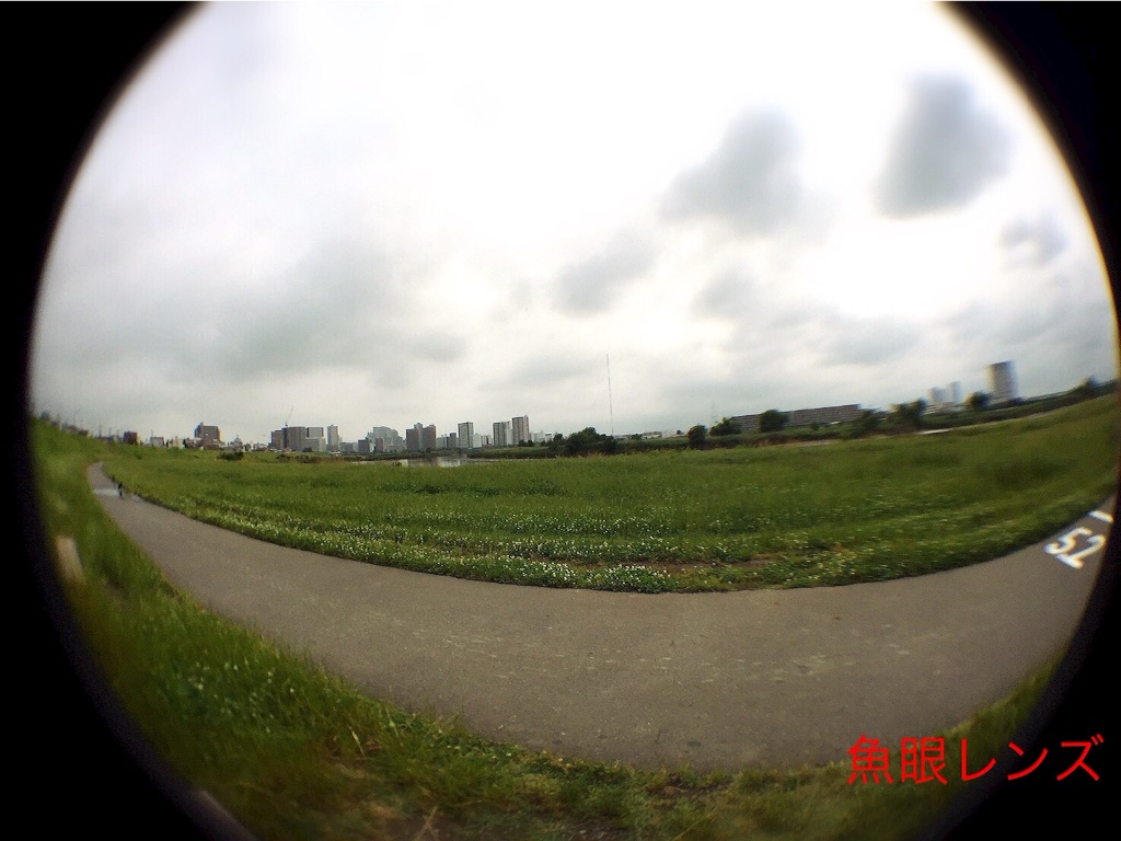 f:id:warorince:20160609164838j:image f:id:warorince:20160609164838j:image