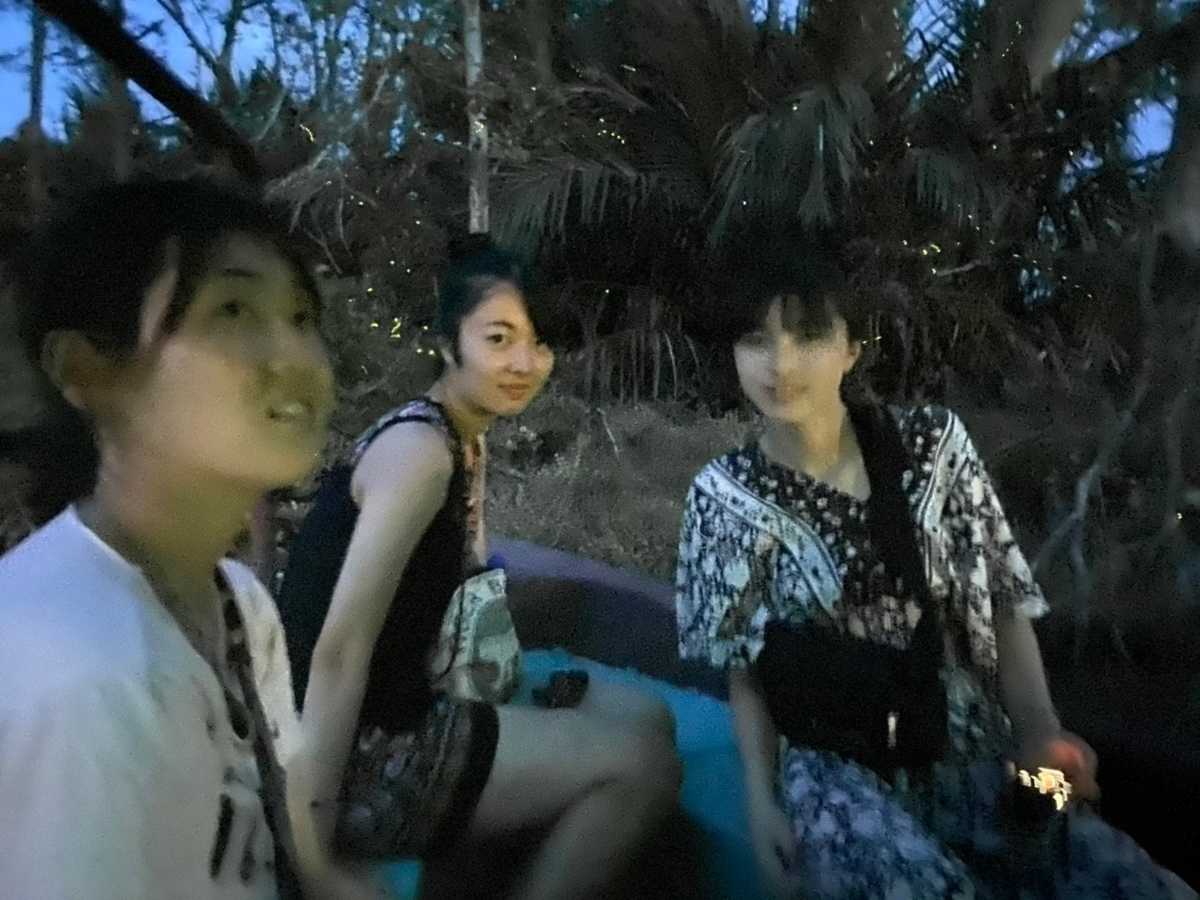 f:id:warumonost:20191124000546j:plain