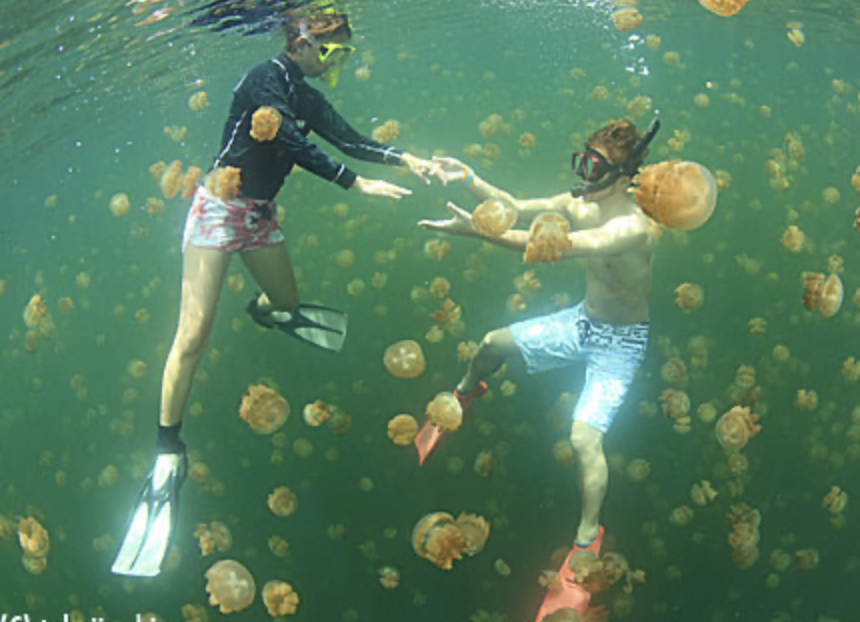 f:id:warumonost:20201023142611p:plain