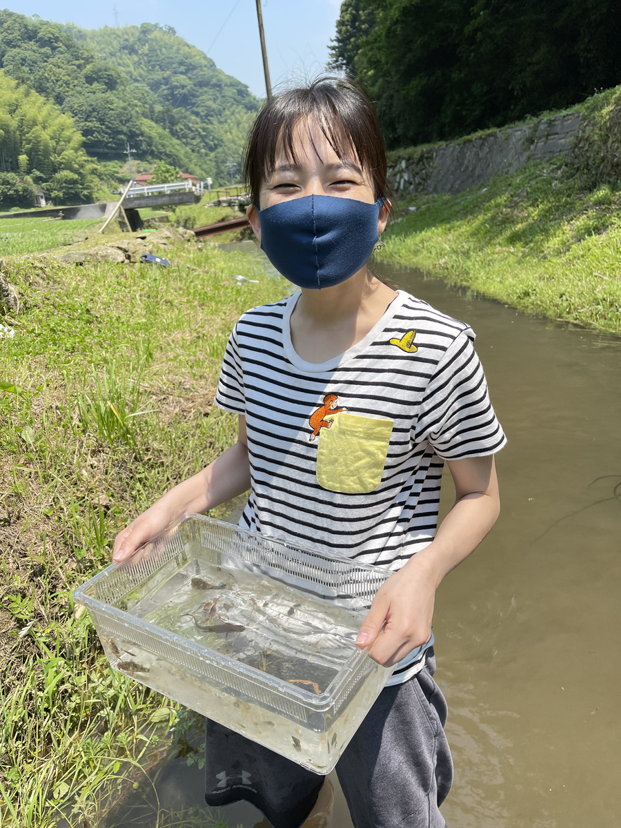 f:id:warumonost:20210608154006j:plain