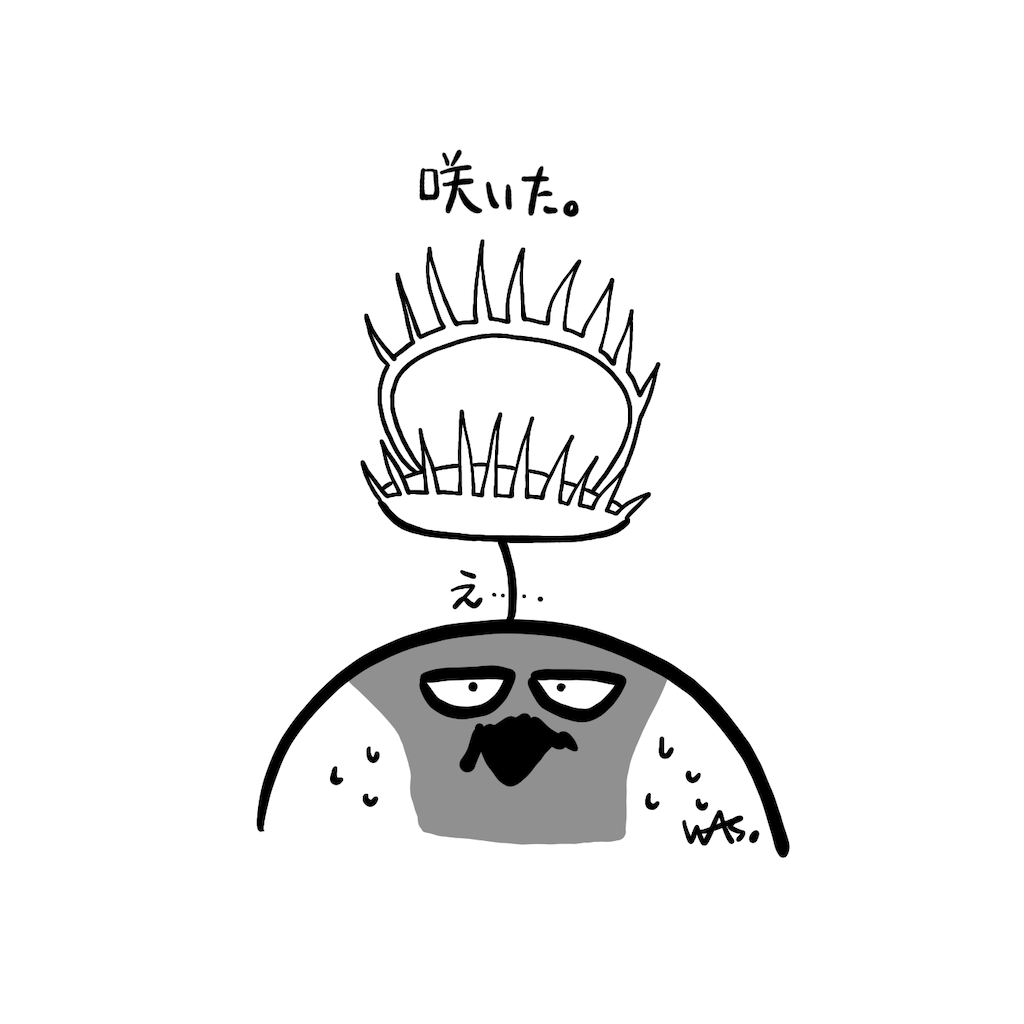 f:id:was-usually:20220624193327p:image