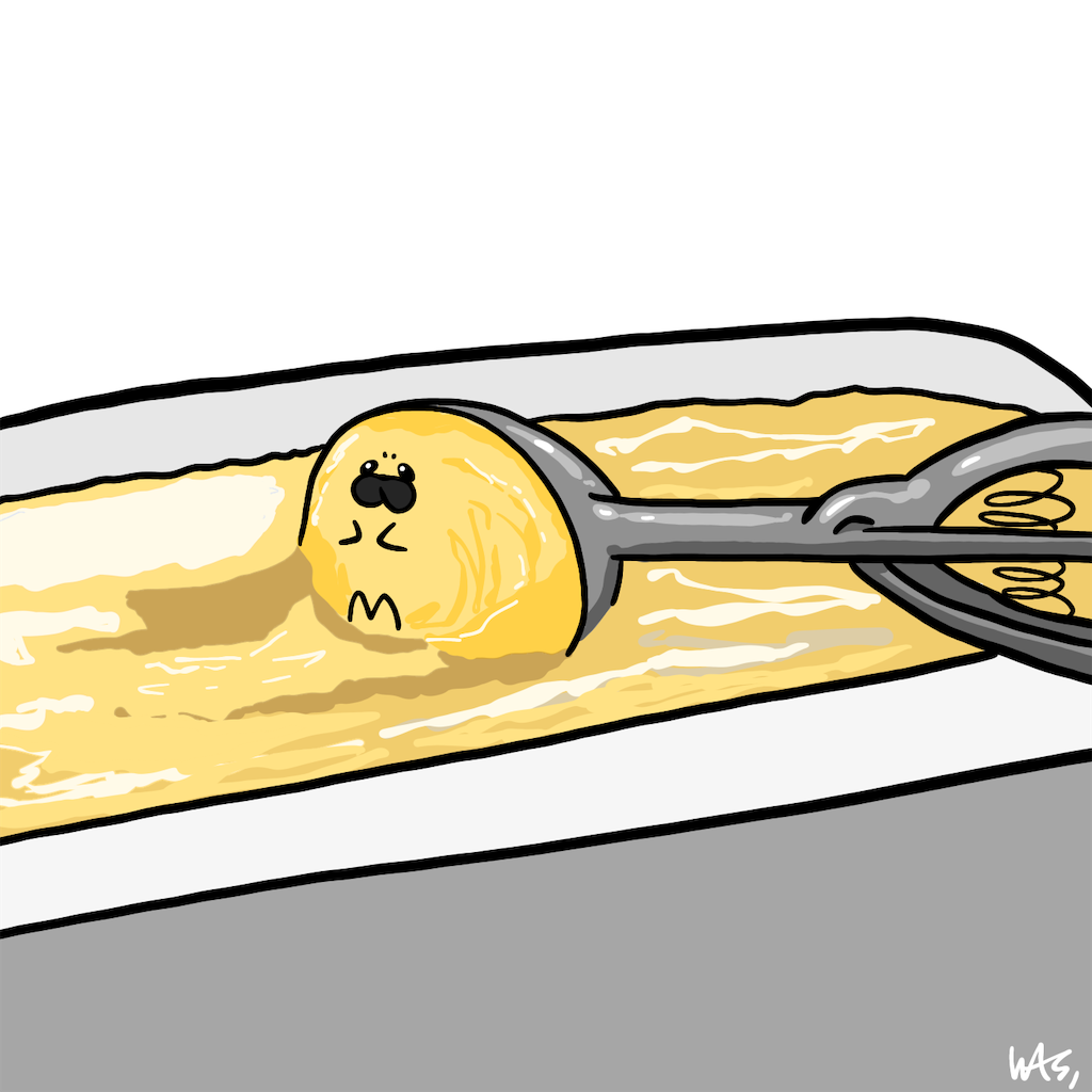 f:id:was-usually:20221121150215p:image