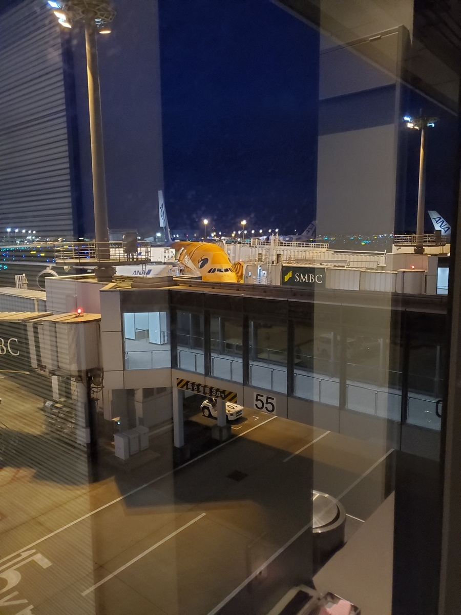 今回搭乗したフライングホヌ3号機