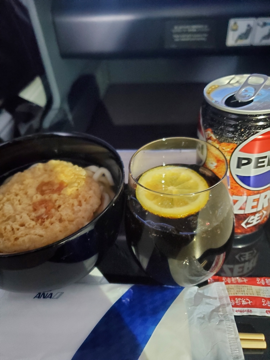 フライングホヌのビジネスクラスのかき揚げうどん